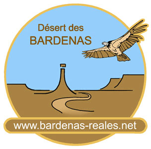 Logo alternatif 2 désert des Bardenas