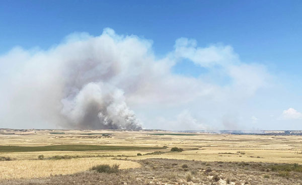 Le feu reprend dans le Vedado, près du désert des Bardenas.
