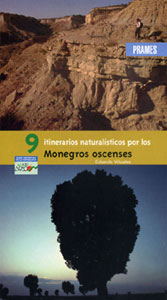 Monegros aragon