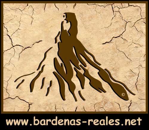 Logo www.bardenas-reales.net
