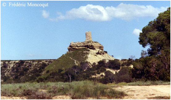 Castillo de Doña Blanca