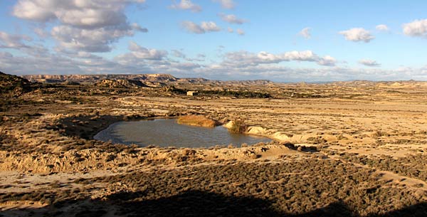 Point d'eau dans le désert.