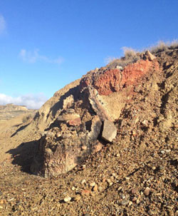 Vestige d'un ancien Horno de Pez bardenero.